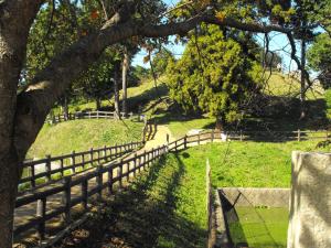 Kurozuka Kofun, Zugang vom Museum